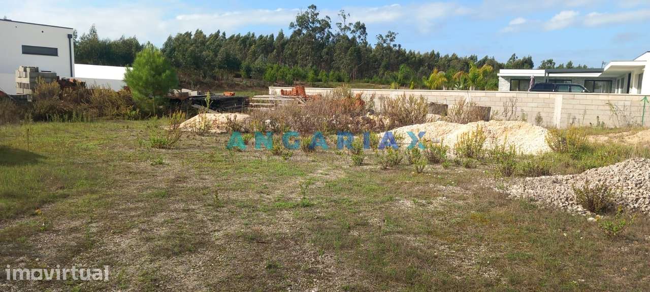ANG1247 - Terreno para Venda em Vieira de Leiria - Grande imagem: 2/4