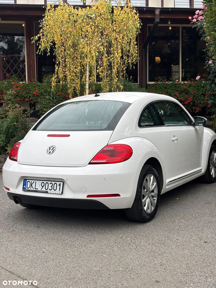 Volkswagen Beetle - 8