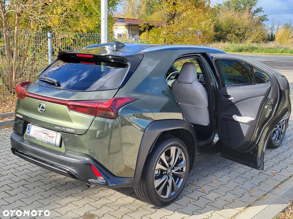 Lexus UX 250h GPF F Sport AWD - 13