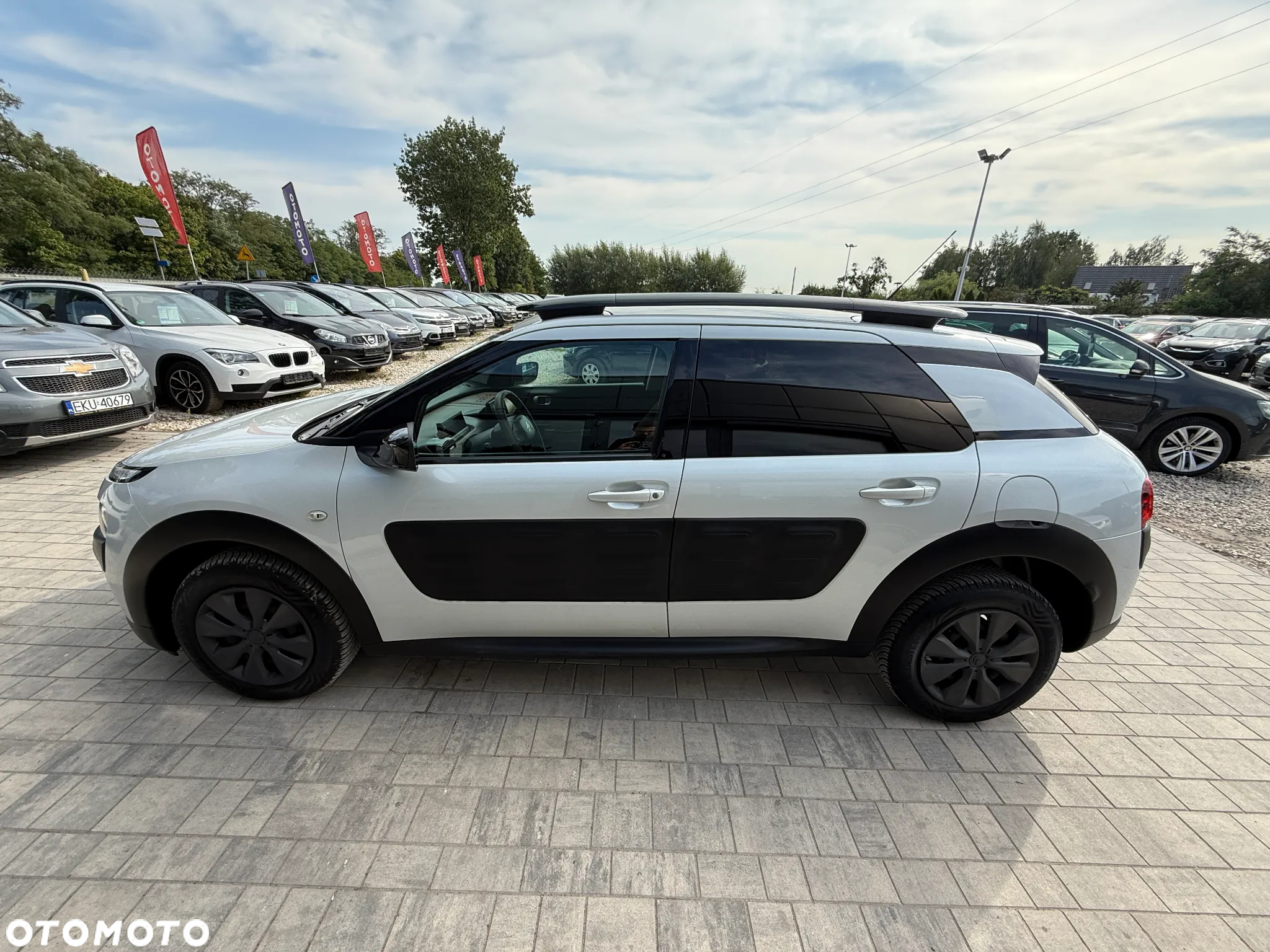 Citroën C4 Cactus BlueHDi 100 Stop&Start Shine Edition - 28