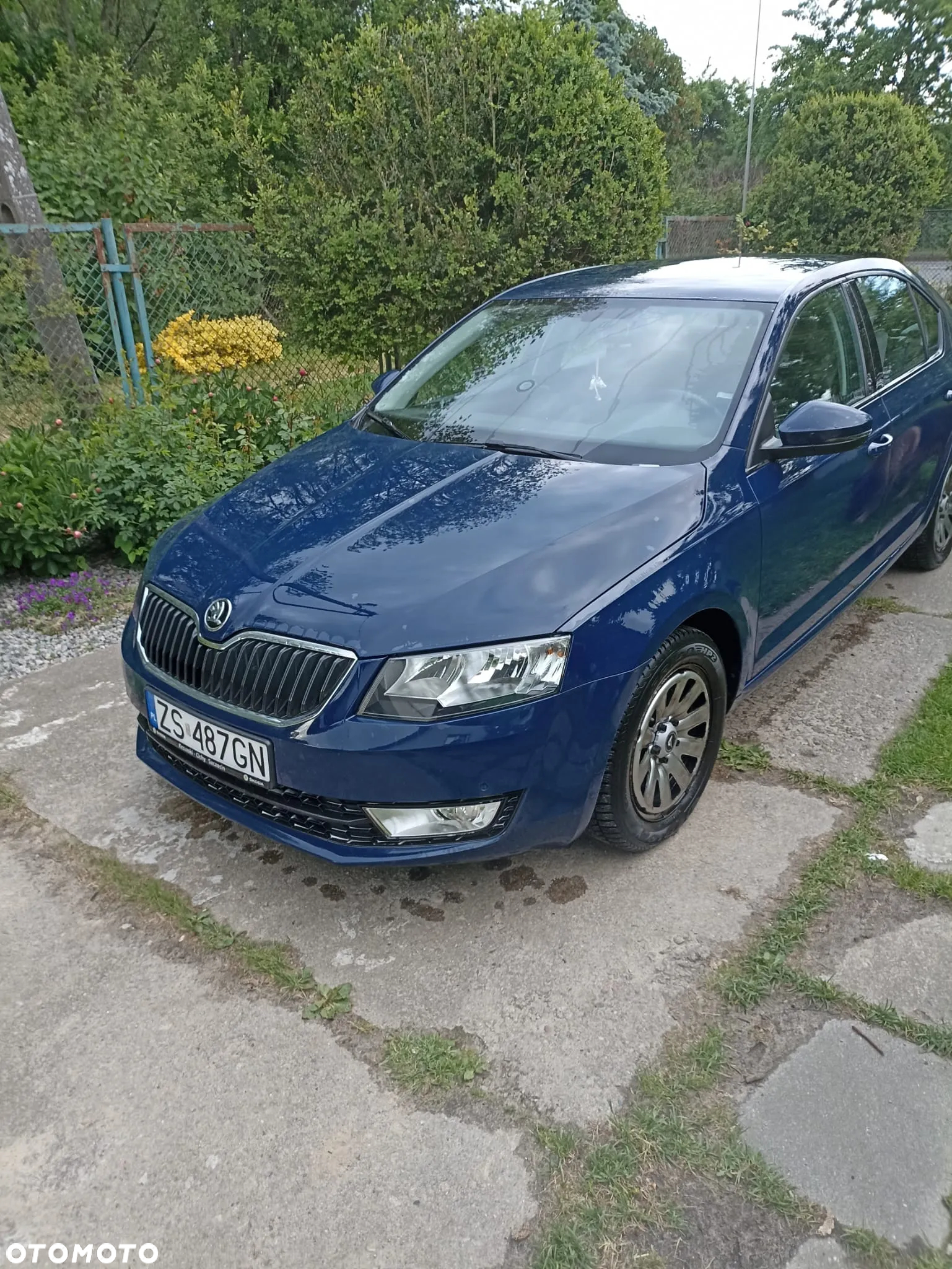 Skoda Octavia - 3