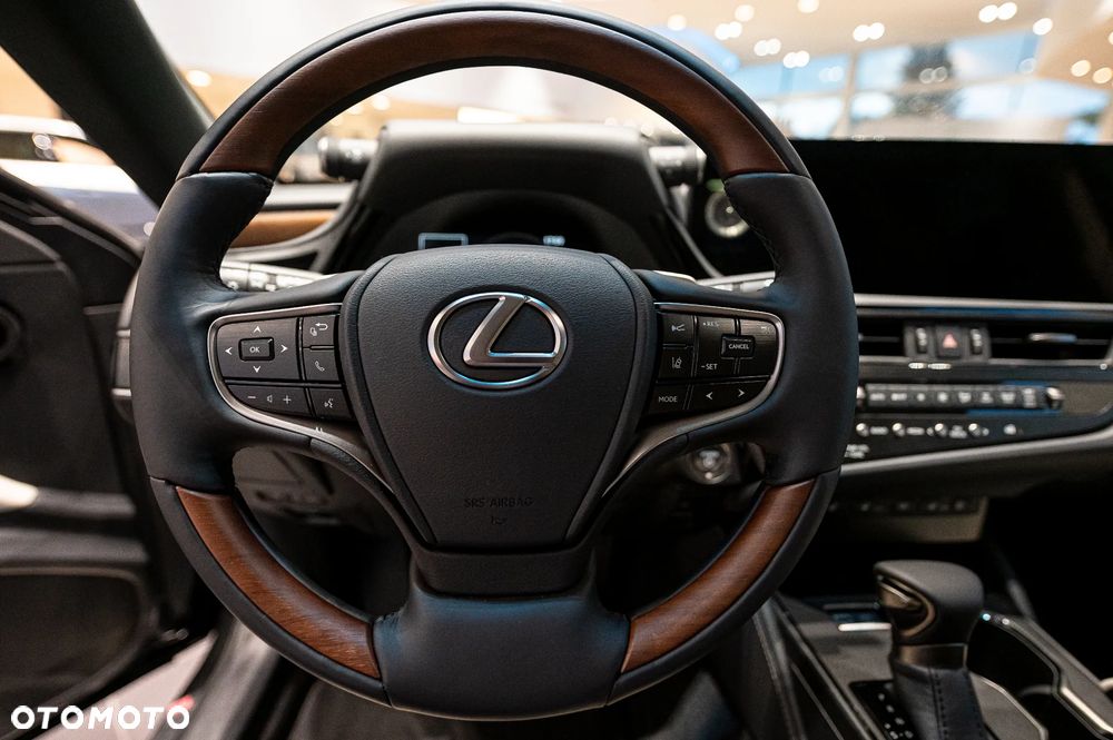 Lexus ES 300h Omotenashi - 15