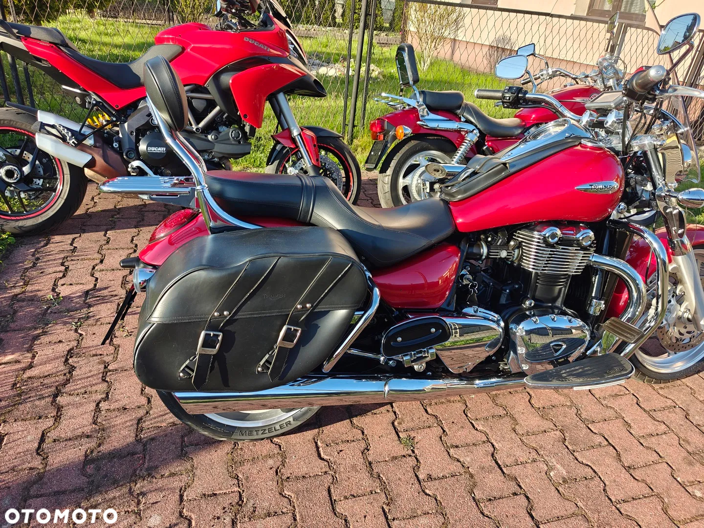 Triumph Thunderbird - 5