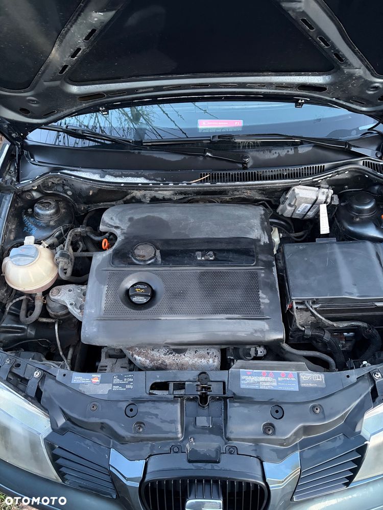 Seat Ibiza - 20