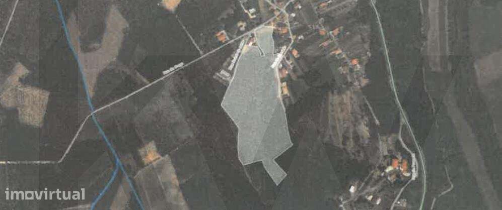 Terreno com 61000m2 em Serem de Cima - Águeda - Grande imagem: 2/15