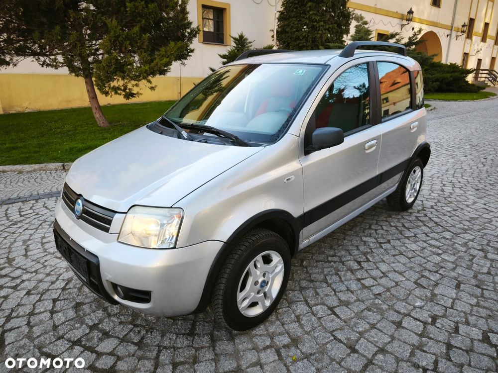 Fiat Panda 1.2 4x4 - 1