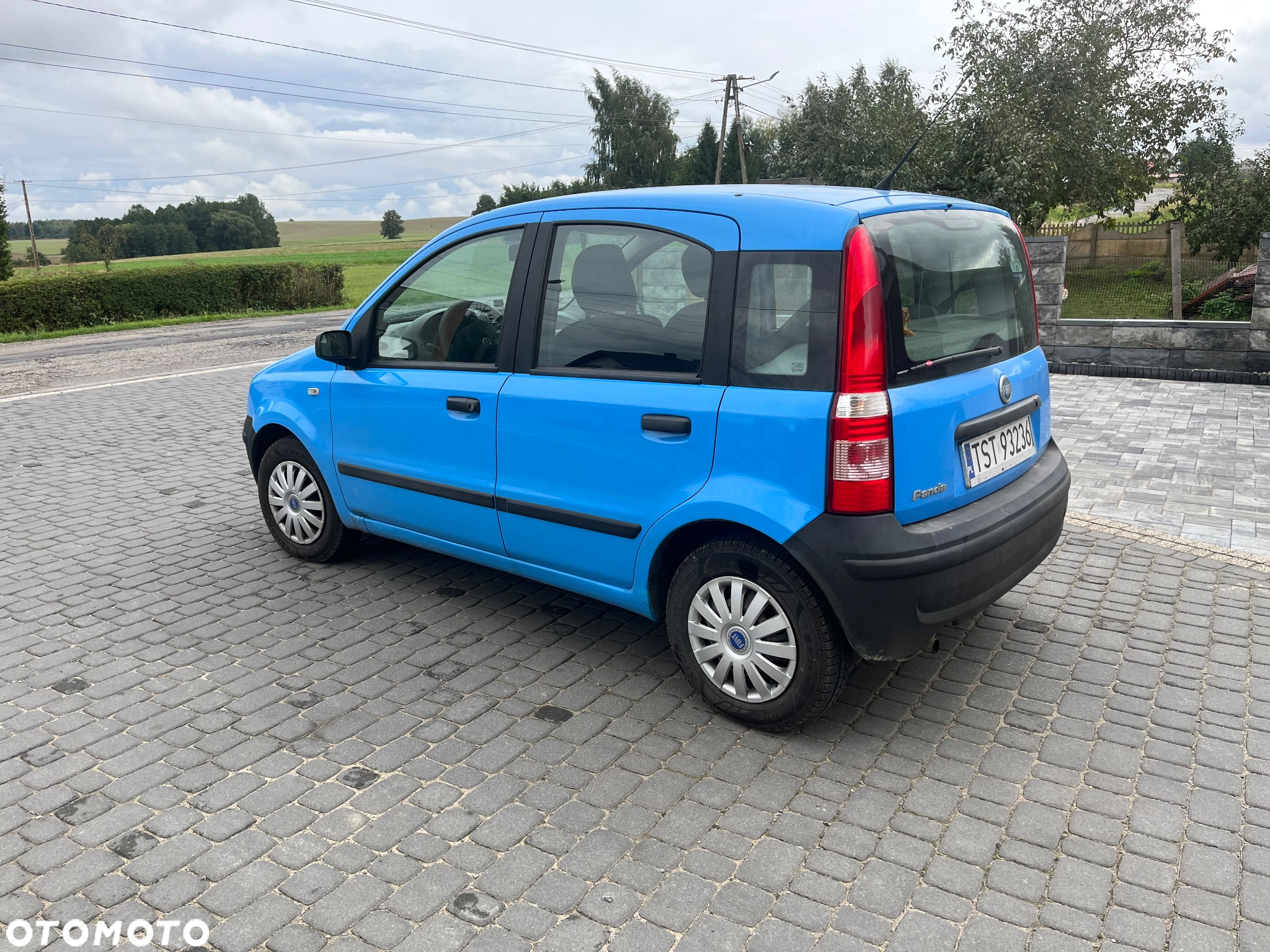 Fiat Panda - 2