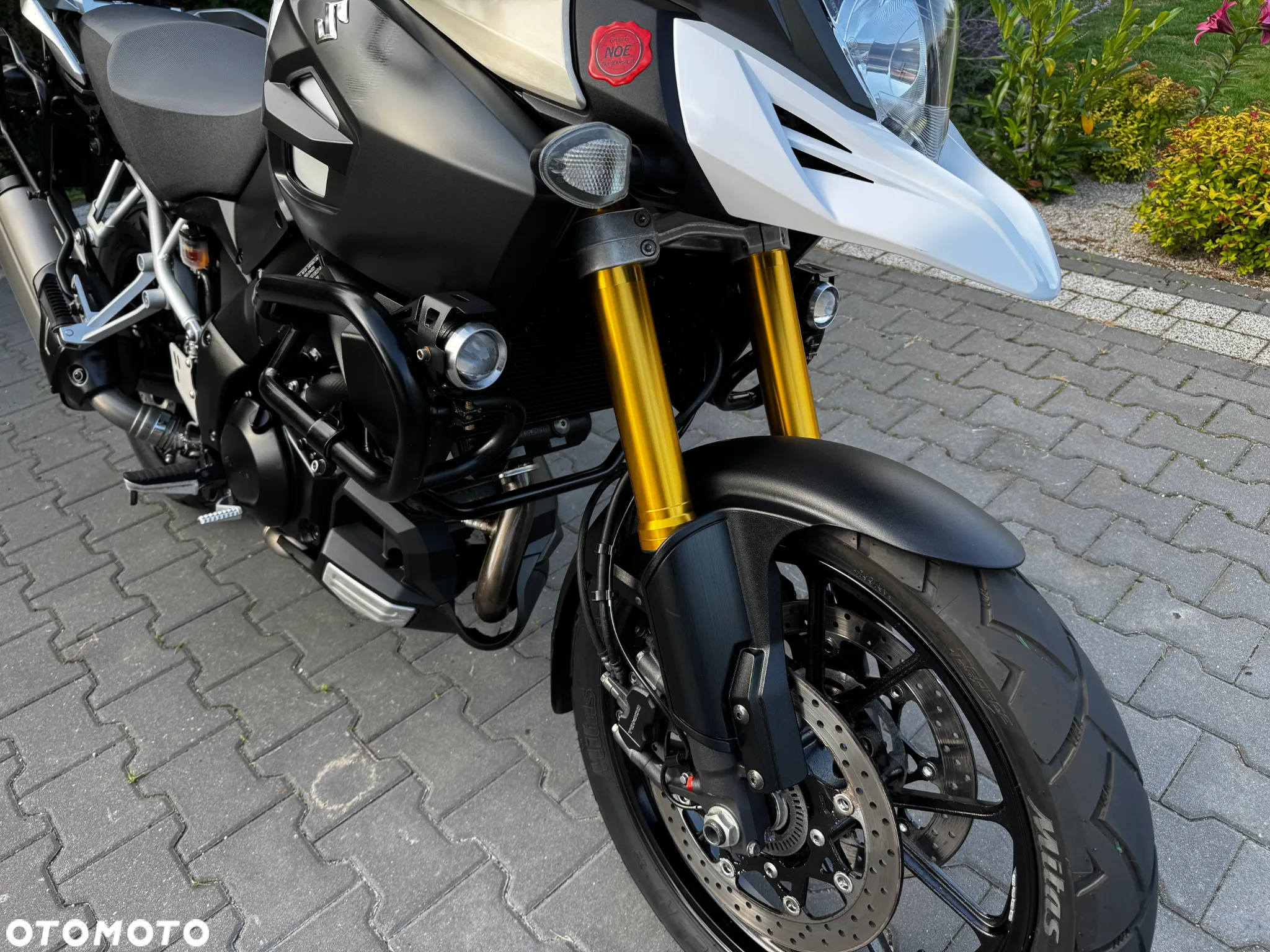 Suzuki V-STROM - 10