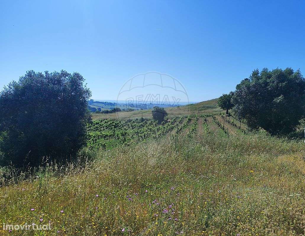 Terreno  para venda - Grande imagem: 2/5