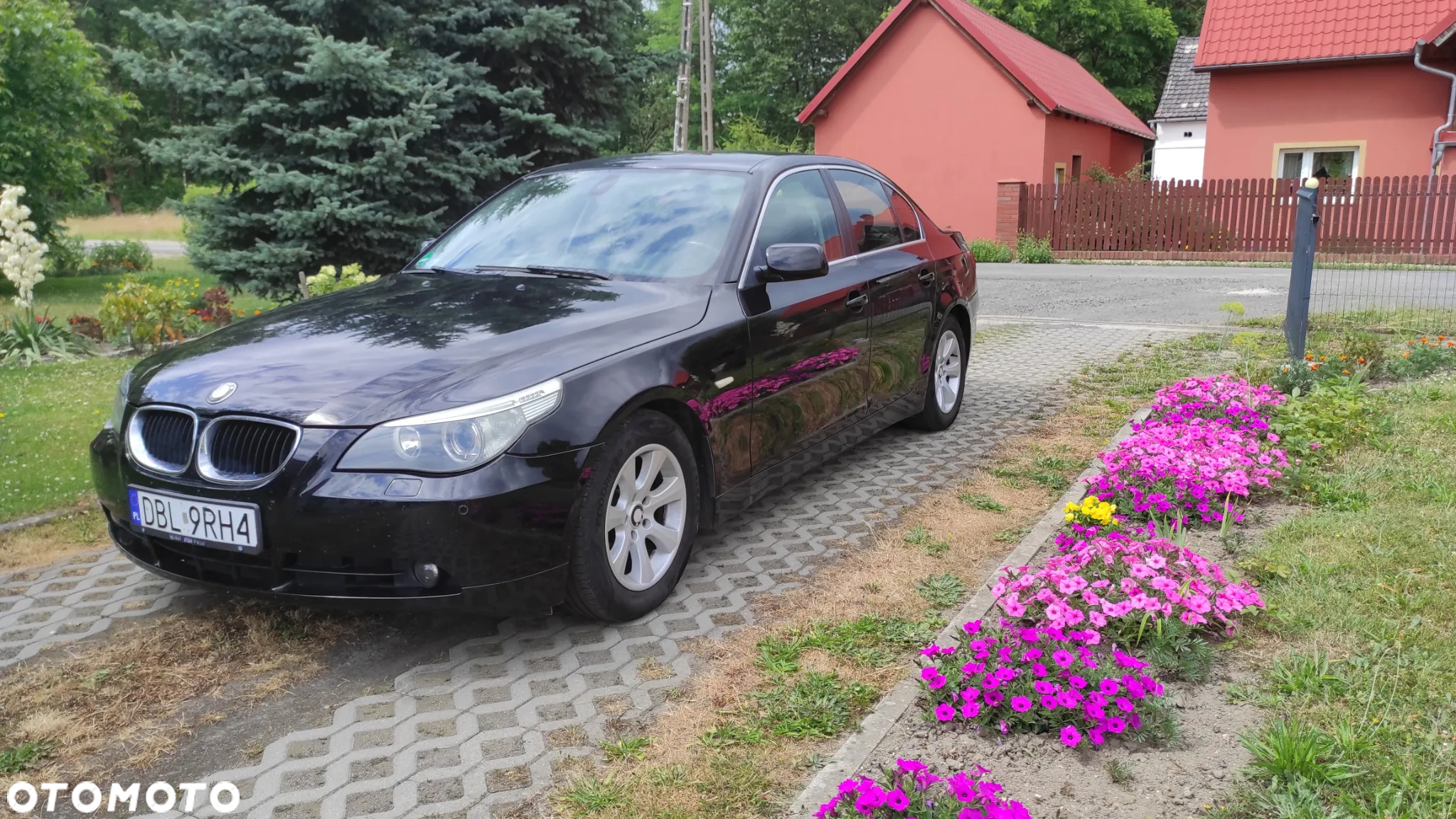 BMW Seria 5 520d - 11