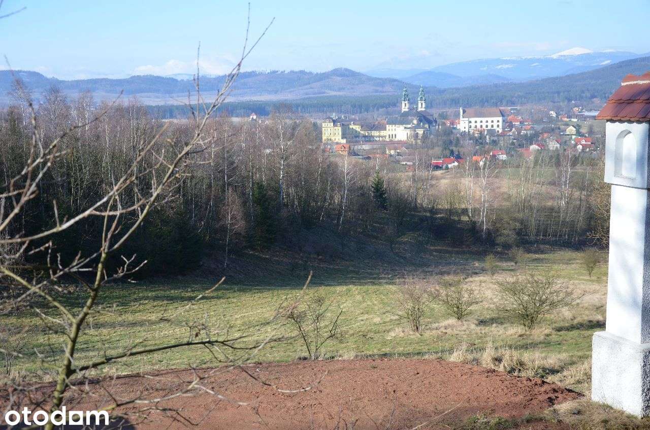 Sprzedam działkę siedliskowo-inwestycyjną - Pełny obrazek: 3/6