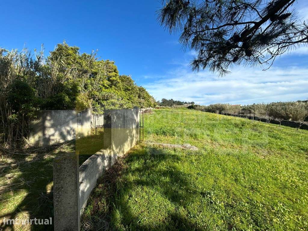 Terreno Rustico com 2.500 m2 em Sobreiro, Mafra - Grande imagem: 4/15