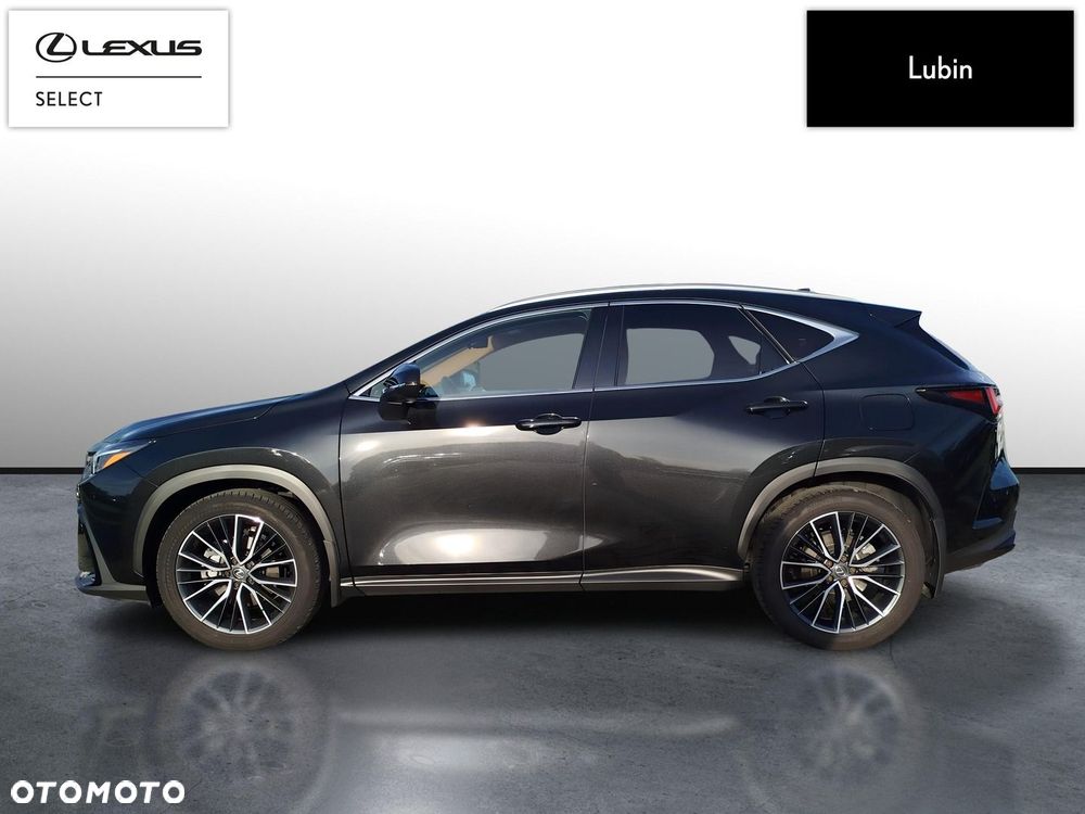 Lexus NX - 3