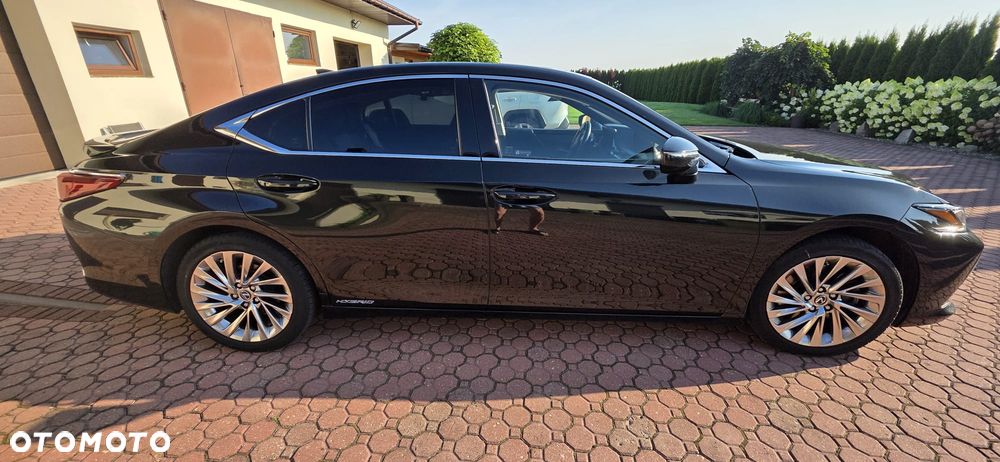 Lexus ES 300h Omotenashi - 5