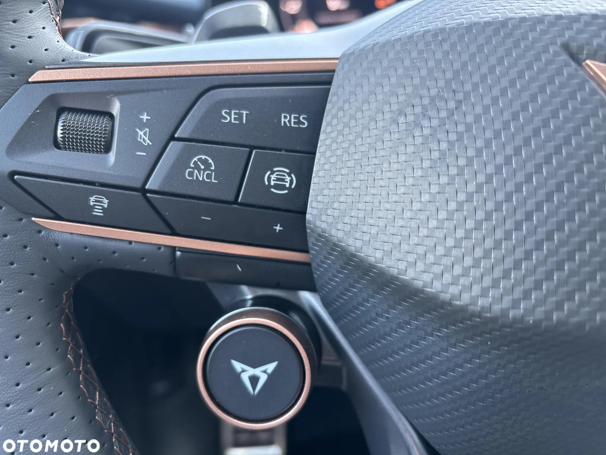 Cupra Terramar - 13