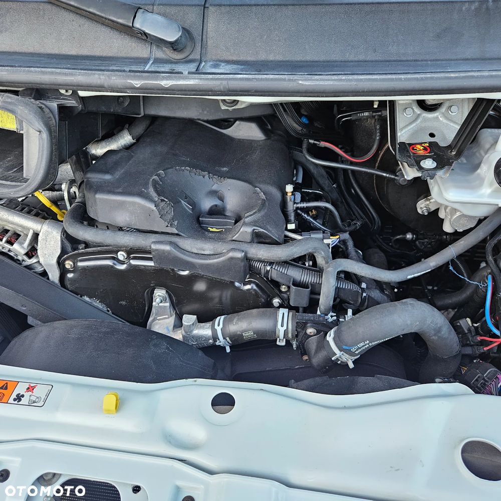 Ford Transit - 10