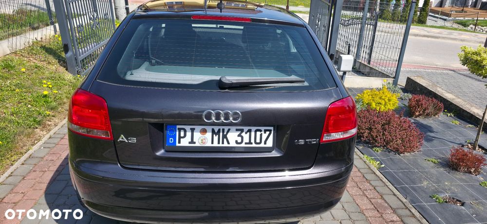 Audi A3 3-drzwiowe 1.9 TDIe DPF - 23
