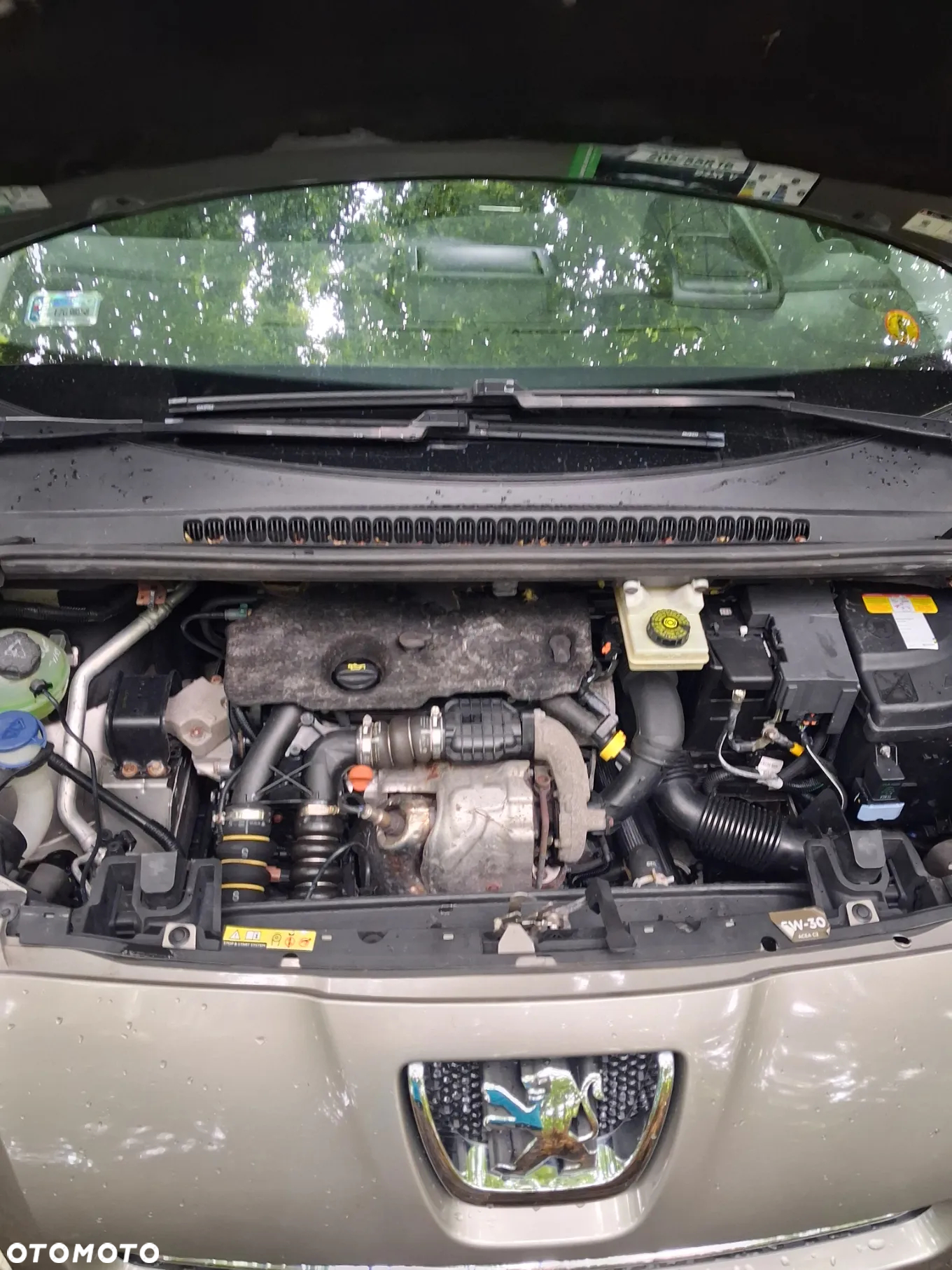 Peugeot 5008 - 16