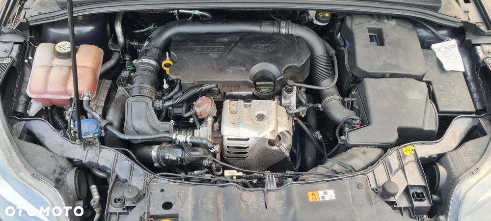 Ford Focus - 12