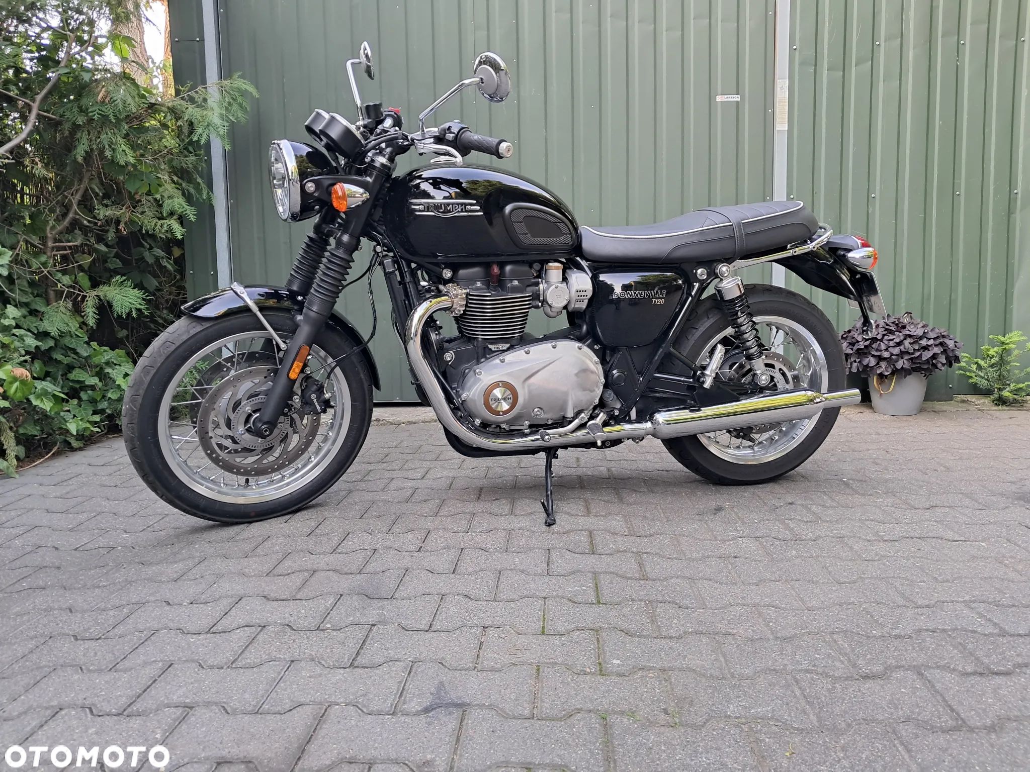 Triumph Bonneville - 1