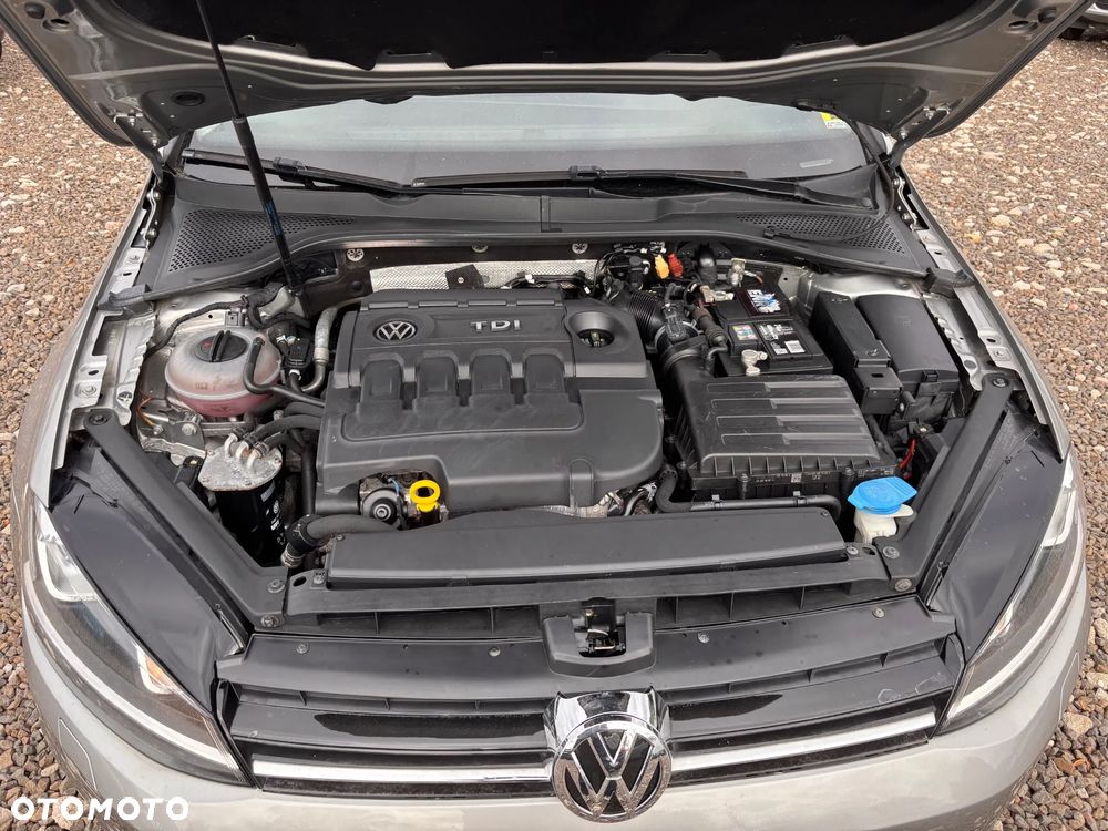Volkswagen Golf Variant 1.6 TDI DPF Trendline - 26