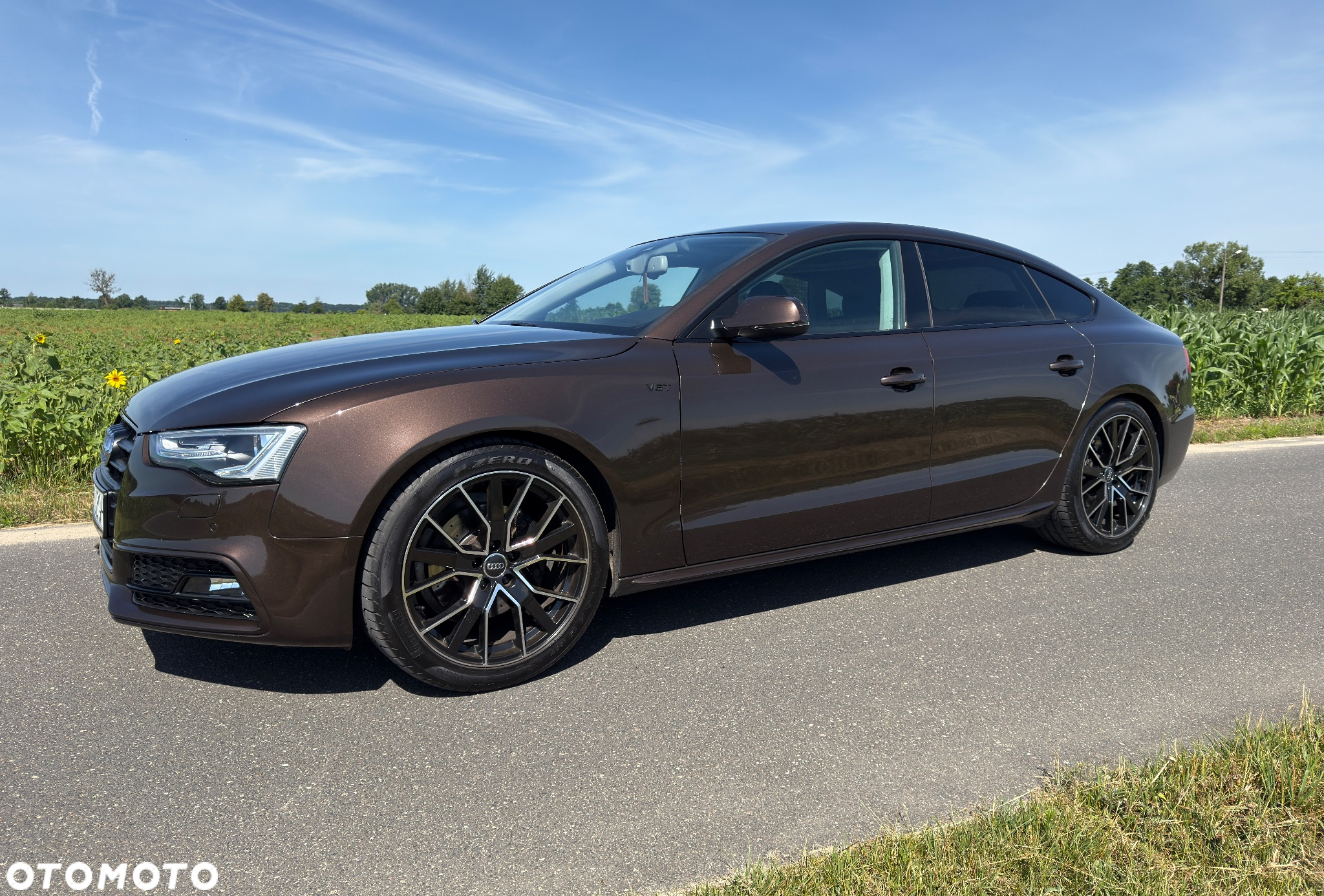 Audi A5 3.0 TDI Quattro S tronic - 3