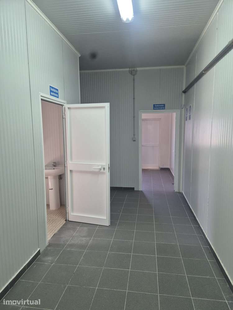 Armazém frigorífico para produtos alimentares. - Grande imagem: 3/8