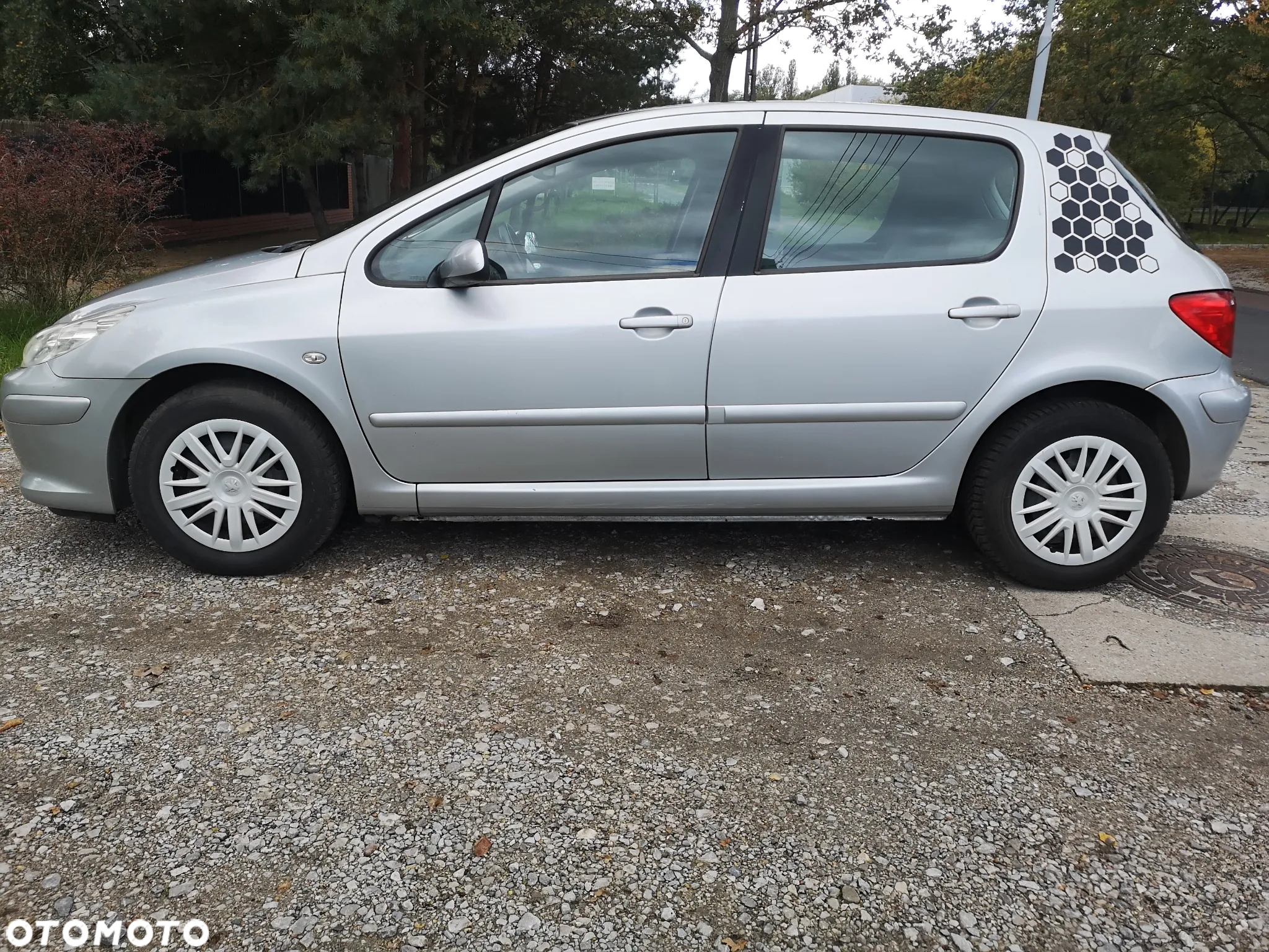 Peugeot 307 - 4