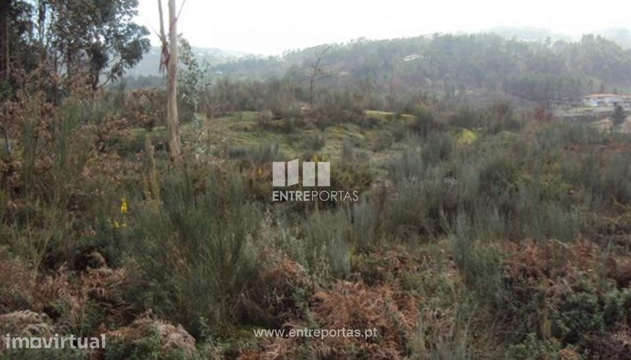 Venda Terreno, junto à estrada, Tabuado, Marco de Canaveses - Grande imagem: 3/8