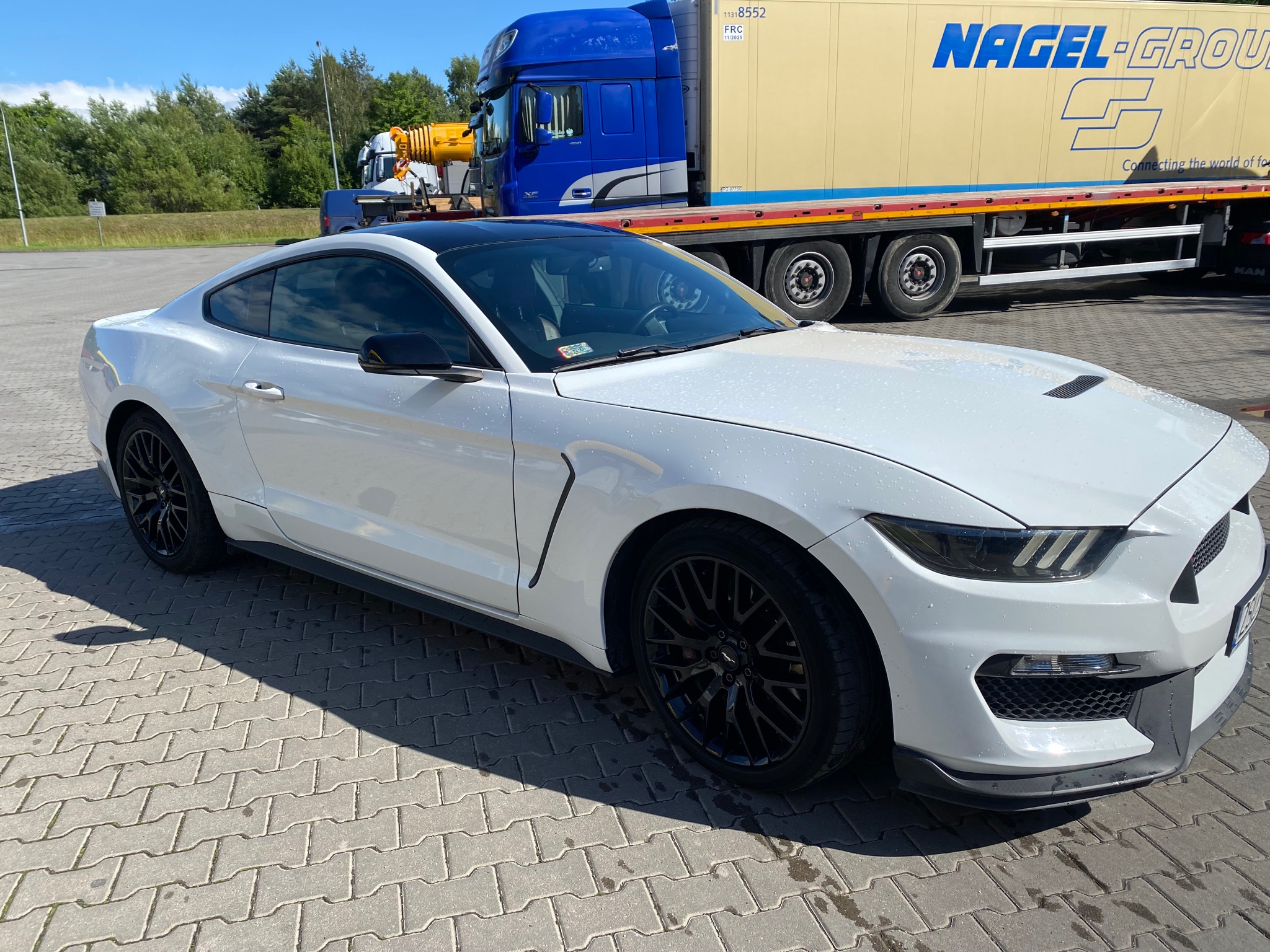 Ford Mustang Fastback 5.0 Ti-VCT V8 GT - 3