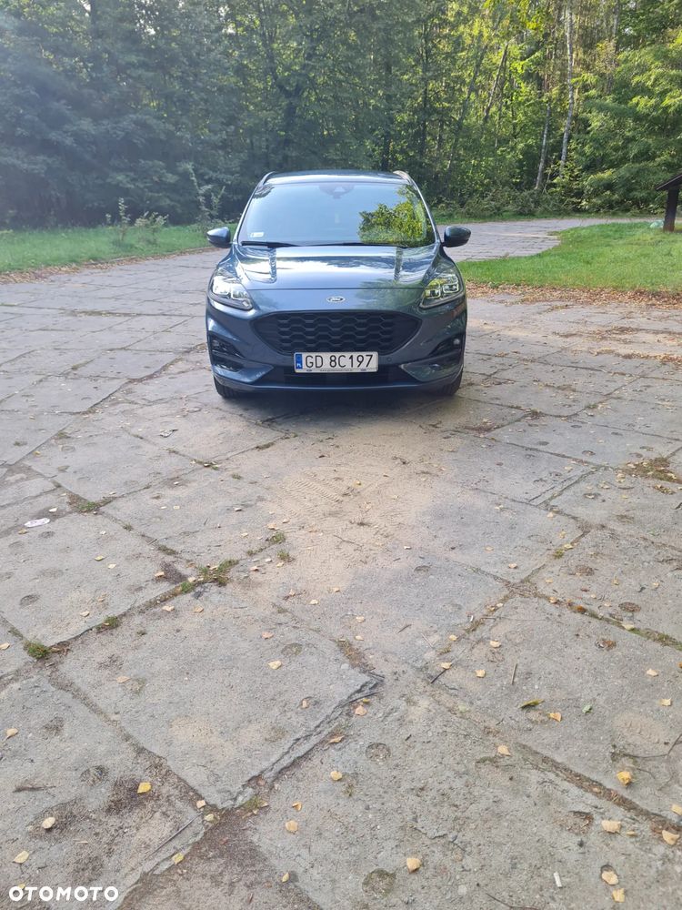 Ford Kuga 2.5 FHEV FWD ST-Line X - 5