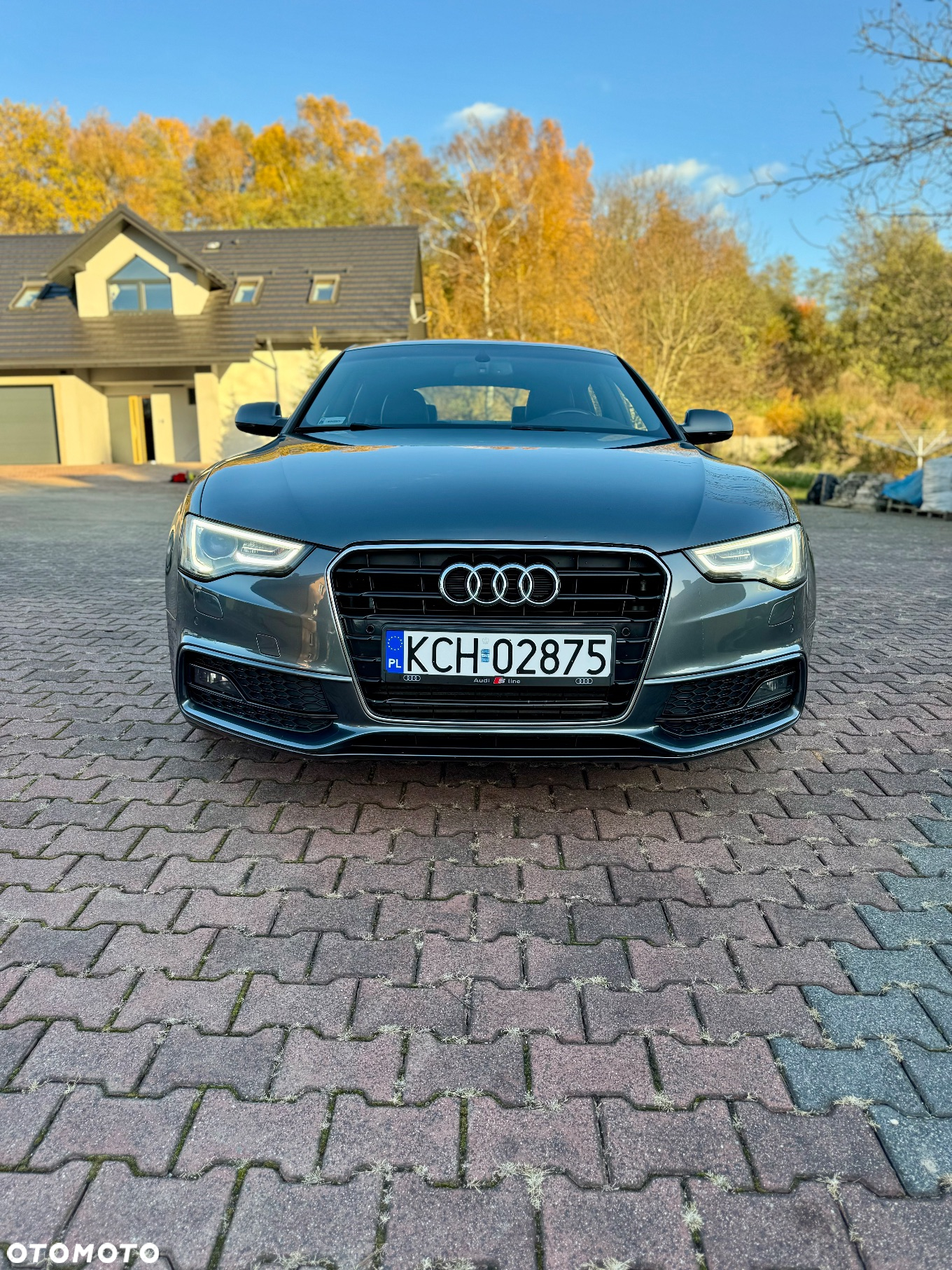 Audi A5 3.0 TDI Sportback DPF multitronic - 2