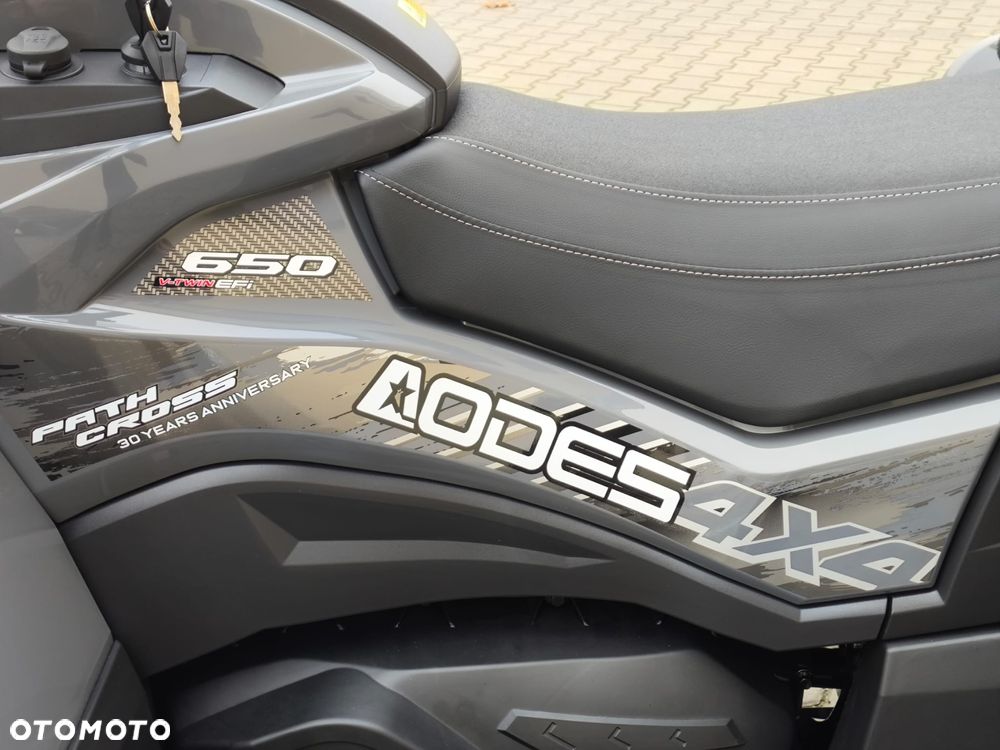 ODES Patchcross - 10