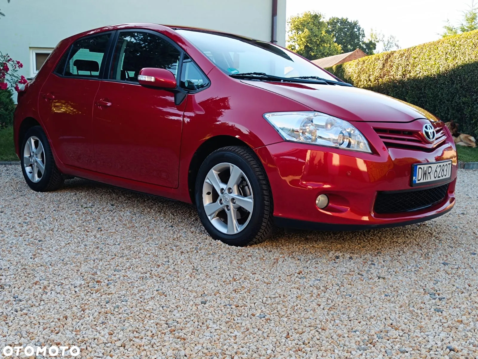 Toyota Auris 1.6 Dynamic - 37