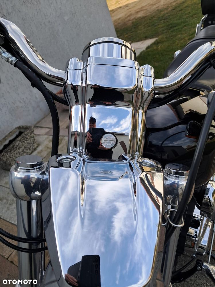 Harley-Davidson Sportster Custom 1200C - 18