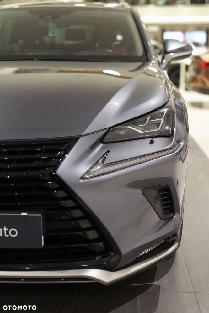 Lexus NX - 14