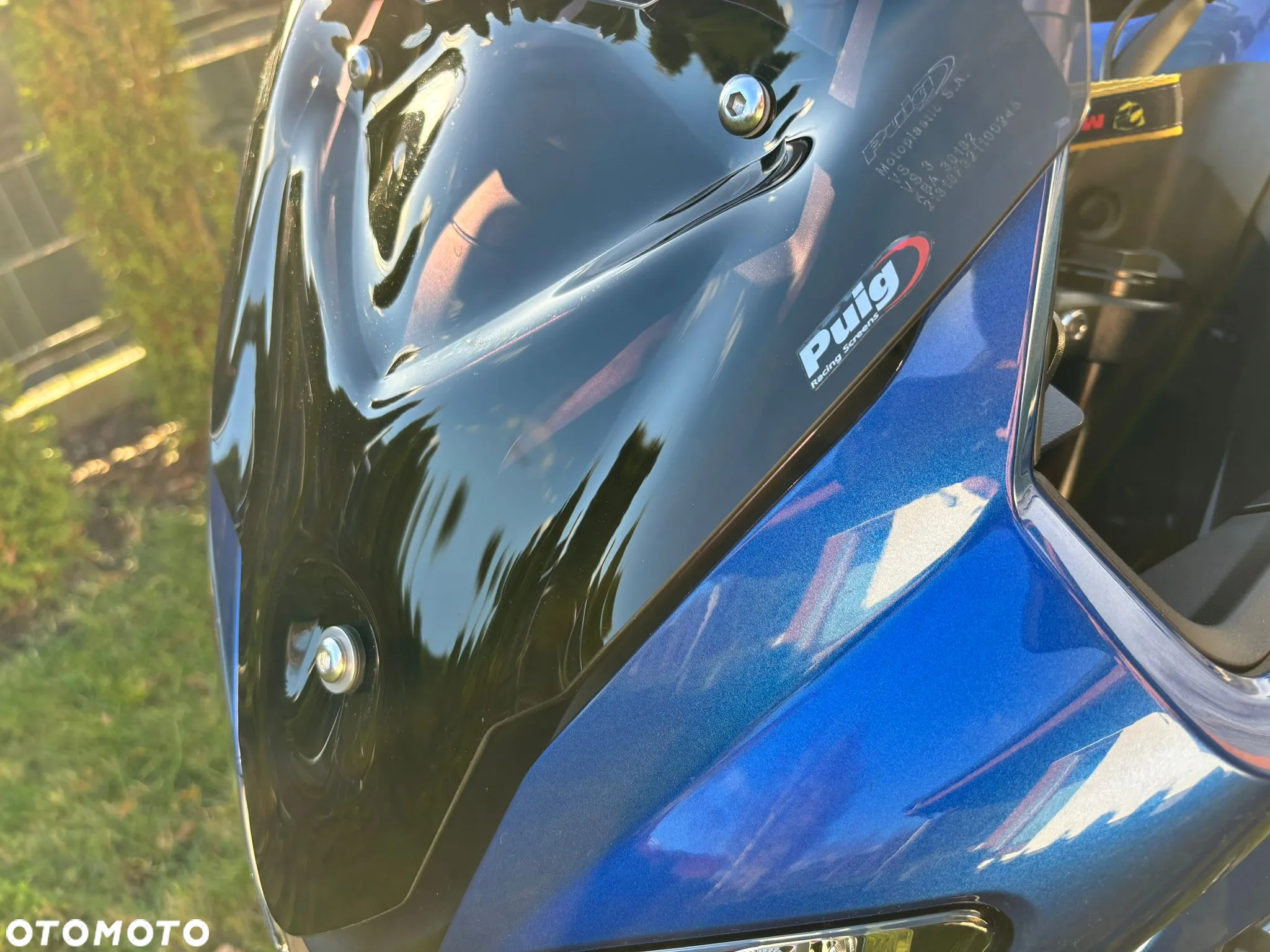 Triumph Tiger - 23