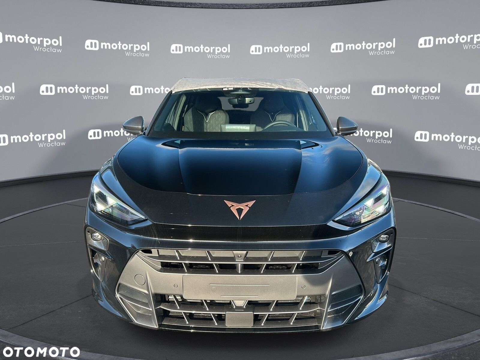 Cupra Terramar - 2
