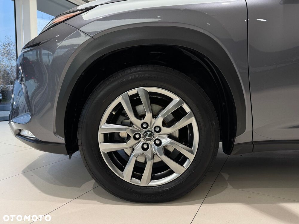 Lexus NX 300h Business Edition AWD - 18