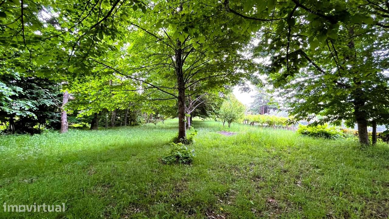 Terreno 1.500m² Vilar de Mouros | Construção Moradia | Caminha - Grande imagem: 5/17