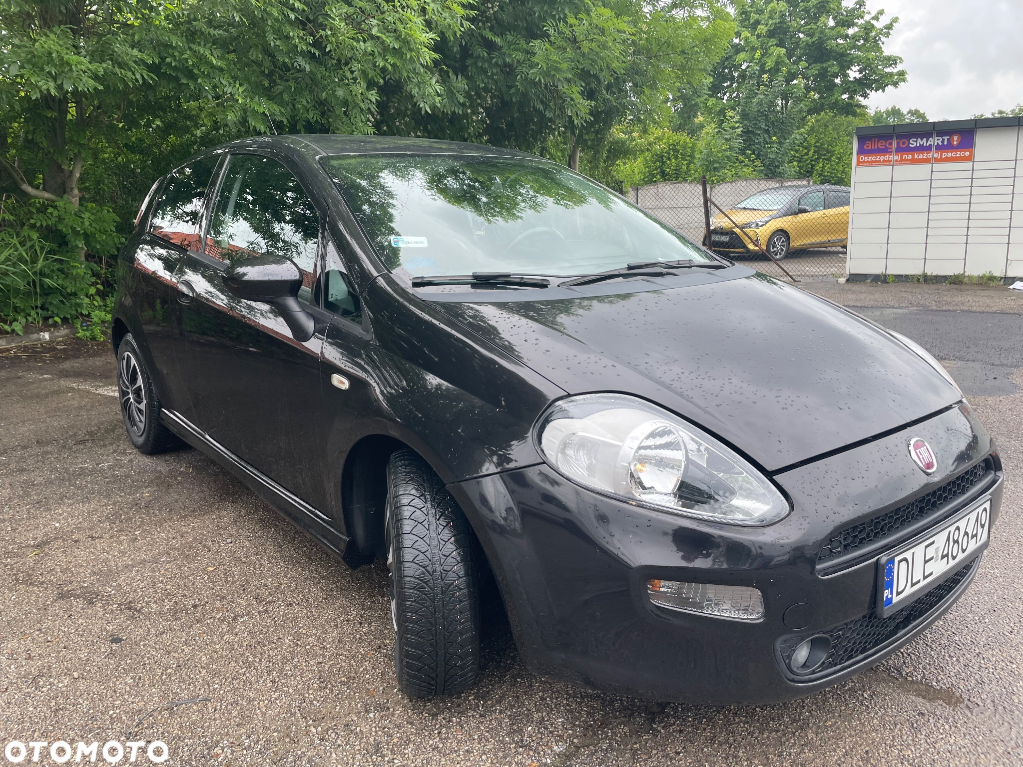 Fiat Punto - 2