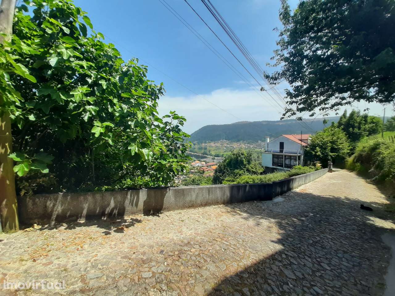 Terreno para construção em Penacova - Grande imagem: 5/8