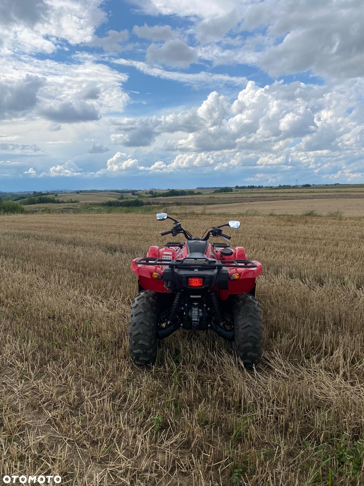 Yamaha Grizzly