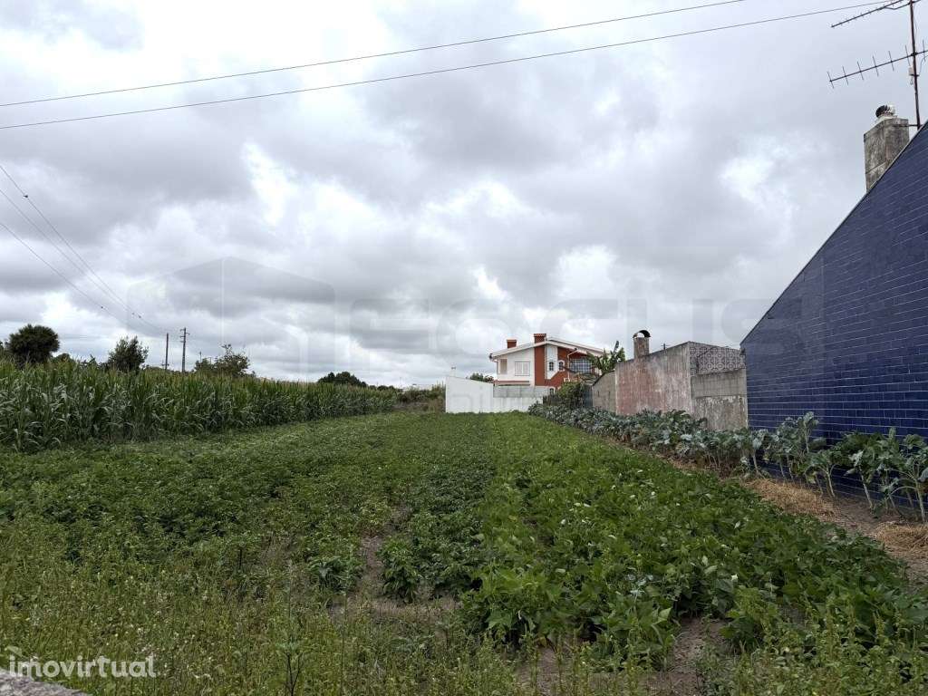 Terreno com 20m de frente para construção - São Bernardo - Grande imagem: 3/21