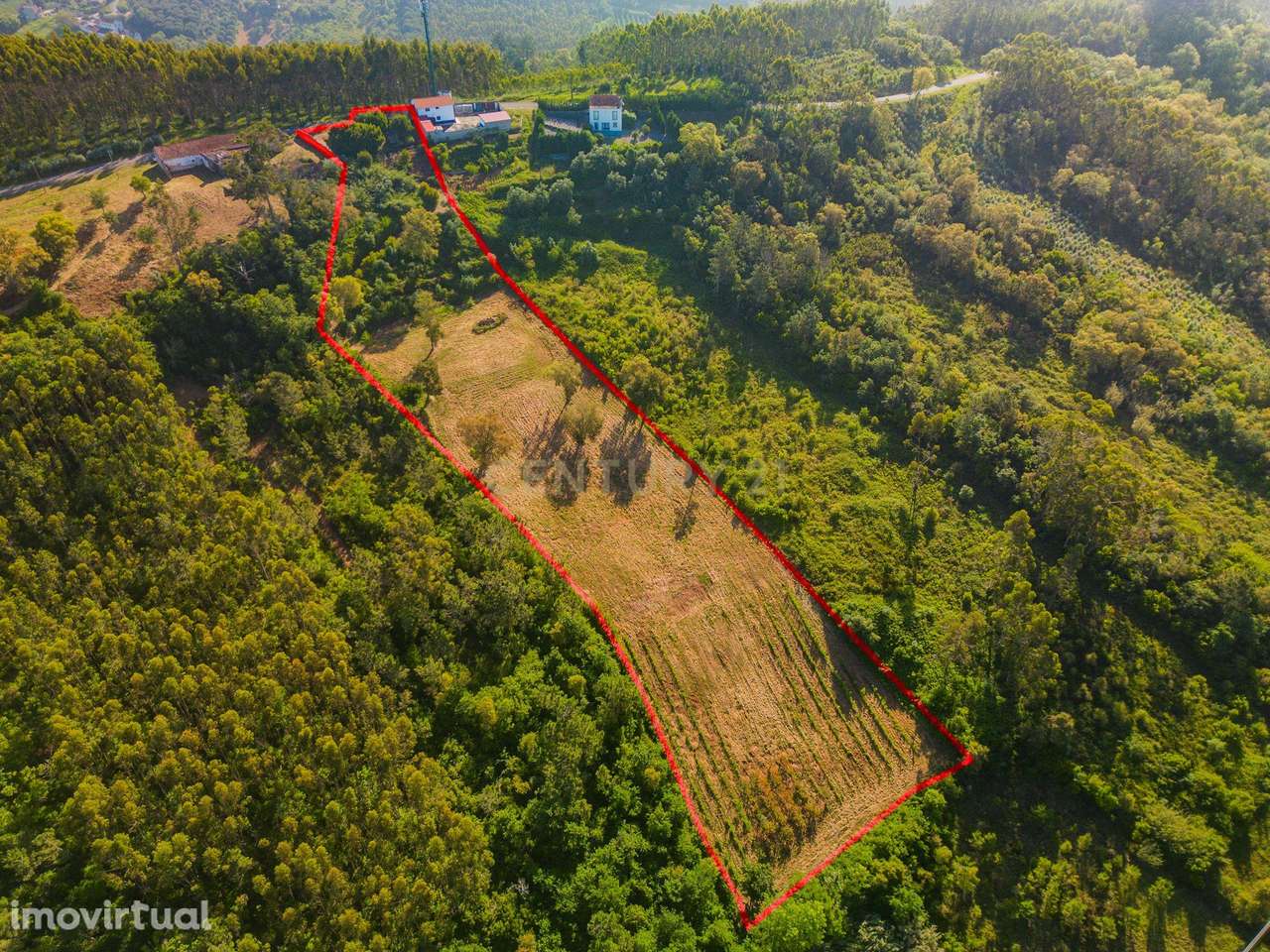 Armazém e Terreno rústico | Vidais | Caldas da Rainha - Grande imagem: 2/14