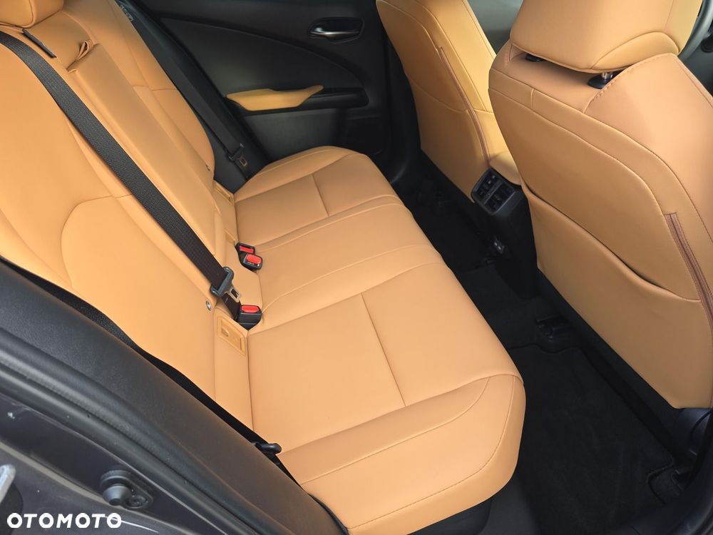 Lexus UX 300h F Sport Design - 17