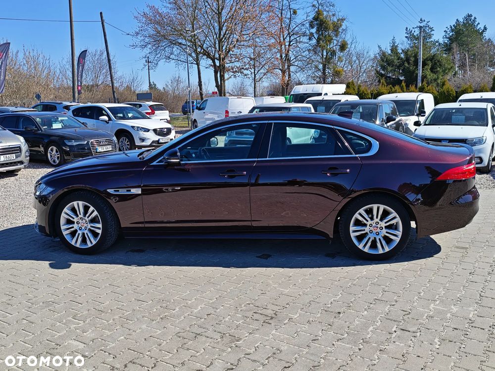 Jaguar XF E-Performance Pure - 4