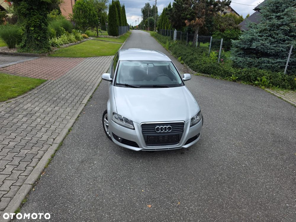 Audi A3 3-drzwiowe 1.6 S line Sportpaket (plus) - 8