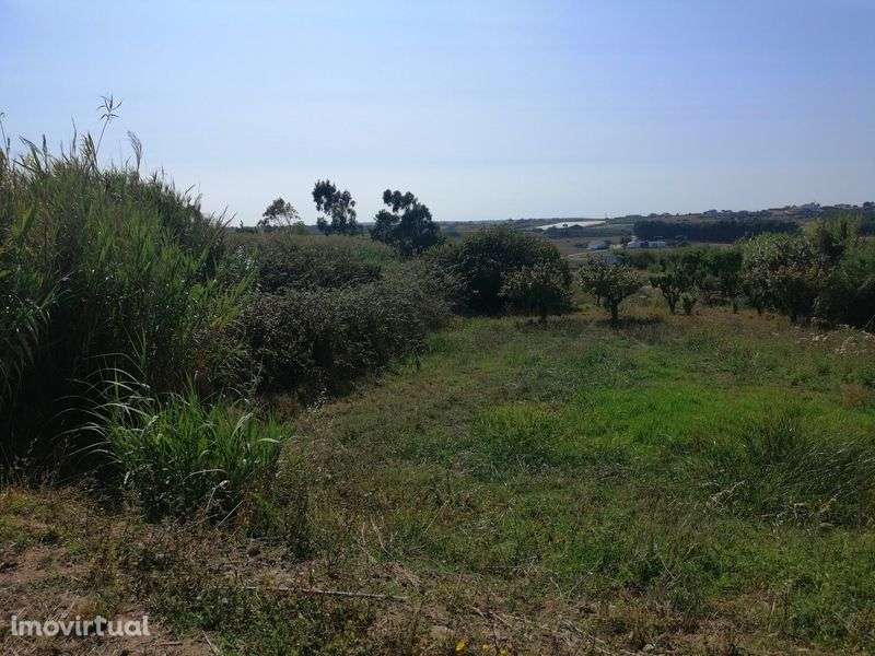 Terreno entre a cidade e as praias com 3720m2 - Grande imagem: 4/34