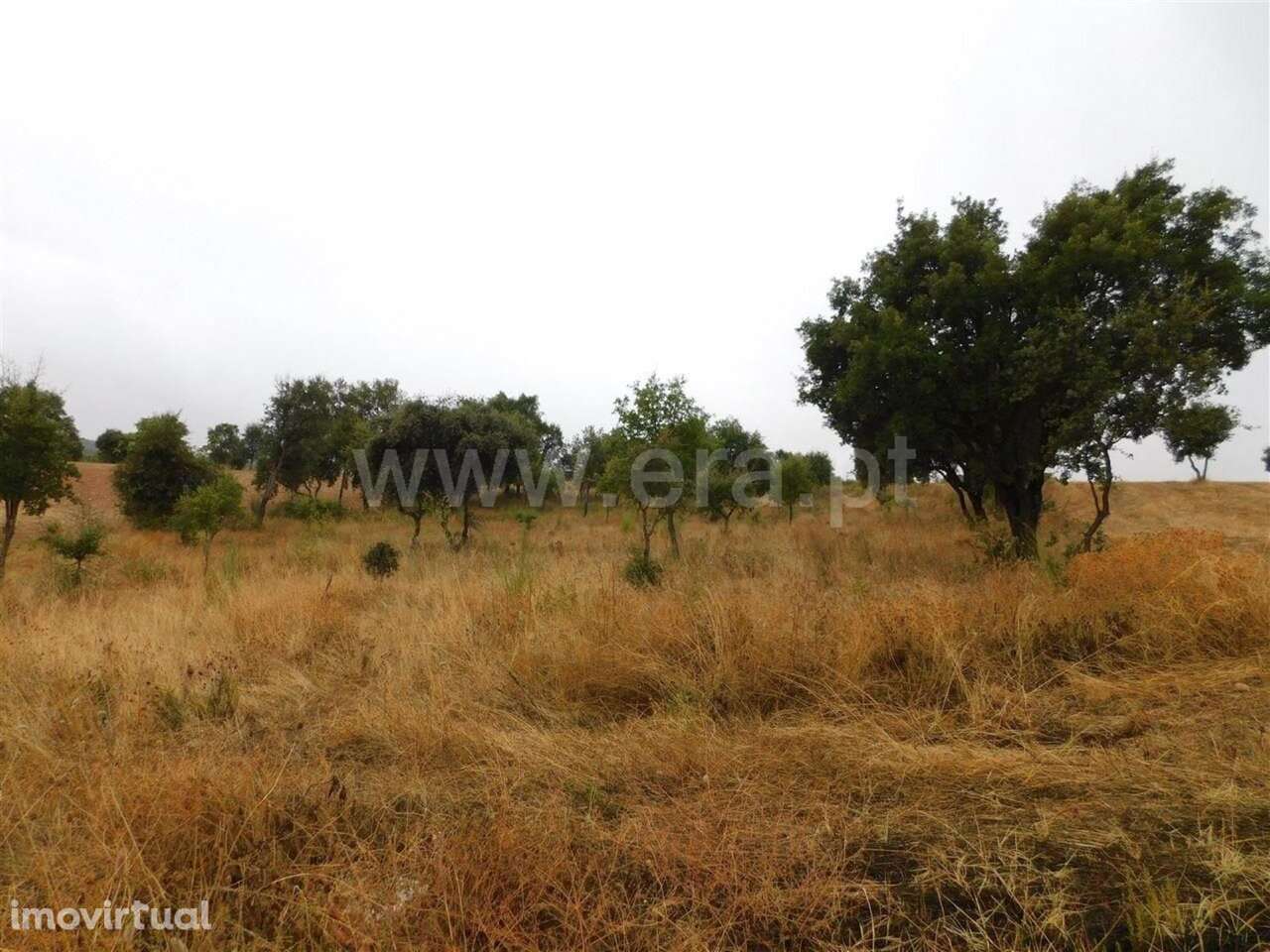 Quinta T1 / Fundão, Quintas da Torre - Grande imagem: 3/18